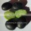 organic black bean(green,yellow)