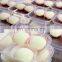 small daifuku rice cake frozen mochi ice cream encrusting machine