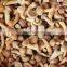 Chinese Mushroom S Size Frozen Nameko Mushroom IQF