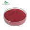 FREE SAMPLE Freeze-Dried Anthocyanidins Cranberry Powder for Juice Organic Cranberry Extract Powder