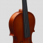 Premium Spruce and Maple Violin Set with Carbon Fiber Tailpiece