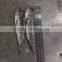 Frozen Horse Mackerel 16-20cm