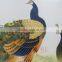 Beautiful peacock of silk hadmade embroidery for home wall decoration