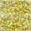 top quality canned corn in sweets