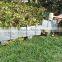 Useful and popular plastic lawn garden edging