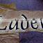 Outdoor advertising letters led edge lit channel letter sign