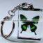 New original 3d laser color printing Butterfly Crystal Keychain in Crystal Arts                        
                                                Quality Choice