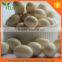China Supplier High Quality product OEM 500mg Halal liquid calcium Vitamin D3 softgel for elderly