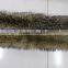 Wholesale natural Raccoon Fur Collar Coat Detachable /Scarf 80cm*17cm