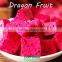Grade A fresh dragon fruit
