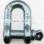 Forged US Type 210 anchor Shackle Screw Pin d Shackle