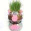Multile Colors Environmental Quality Toys Indoor