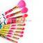 Pink Animal Hair Cosmetic Brush 10Pcs Full Set With Nice Looking Handle