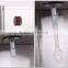 TQ-K25 Ice cream shaker