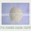 TTN 100% natural instant freeze dried apple powder
