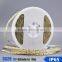 korea led flexible neon strip light