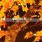 24V led outdoor maple light tree