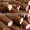 TAPIOCA FLOUR VIETNAM/CASSAVA STARCH (Viber/Whatsaap: 0084965152844)