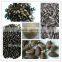 4th generation with 5000+pixel melon seed processing machine/snack sorting machine