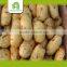 Farm Organic Fresh Potato