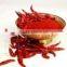 RED CHILI POWDER SUPPLIER