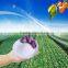 Latest Price For Calcium Ammonium Nitrate Fertilizer