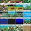 waterproof plastic aquarium background