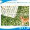 Cheap Pet Artificial Grass Turf Carpet
