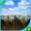 greenhouse film factory supply agricultural anti-uv greenhouse plastic film cover