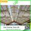 Mult span commerical glass greenhouse for sale