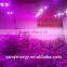 300w grow light vanq waterproof hydroponics led plant high power indoor lamp