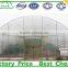 Commercial tunnel plastic strawberry greenhouse for sale