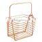 Kitchen Pantry Bath Wire Basket Tote with Handle