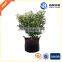 plants grow bags planter bags
