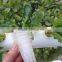 30mm Diameter Garden Plants Hydroponic Grow System Net Pot PP Mesh Cup