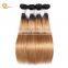 Mink Brazilian Hair Colored Human Hair Weave Bundles Two Tone Remy Hair Extension