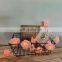 For Valentine's Day Wedding Decorative String Light Rose Battery Operated 10 LED Warm White Flower String Light