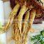 Best Price White Panax Ginseng with Tails, Panax Ginseng