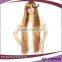 Beauty Long Brown Curly High Quality Syntheti Anime Wigs
