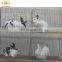3 Layer Welded Metal Rabbit Breeding Cages for Industrial and Farming