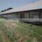 Prefabricated steel structure broiler chicken farm shed house for sale in Philippines