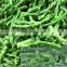 Sinocharm New Season Tender IQF Green Asparagus Tips Frozen Green Asparagus
