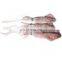 frozen chinese loligo squid Loligo Chinesis good price