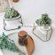 Ins Balcony Mini Pots Iron Home Garden Clear Gold Wholesale Luxury Triangle Shaped Porcelain Indoor Flower Pot With Stand