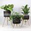 Cost Effective Home Vertical Heavy Duty Design Modern Corner Decorative Indoor Pot Plants Stands