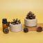 Solid Wood Natural Pine Cone Diffuser