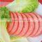New Design Specialized Ham Slicer