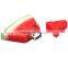 Personalized usb sticks watermelon 8gb