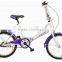 20 inch folding bike / single speed bike for lady