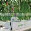Tomato cucumber Planting bar greenhouse soilless cultivation rock sliver